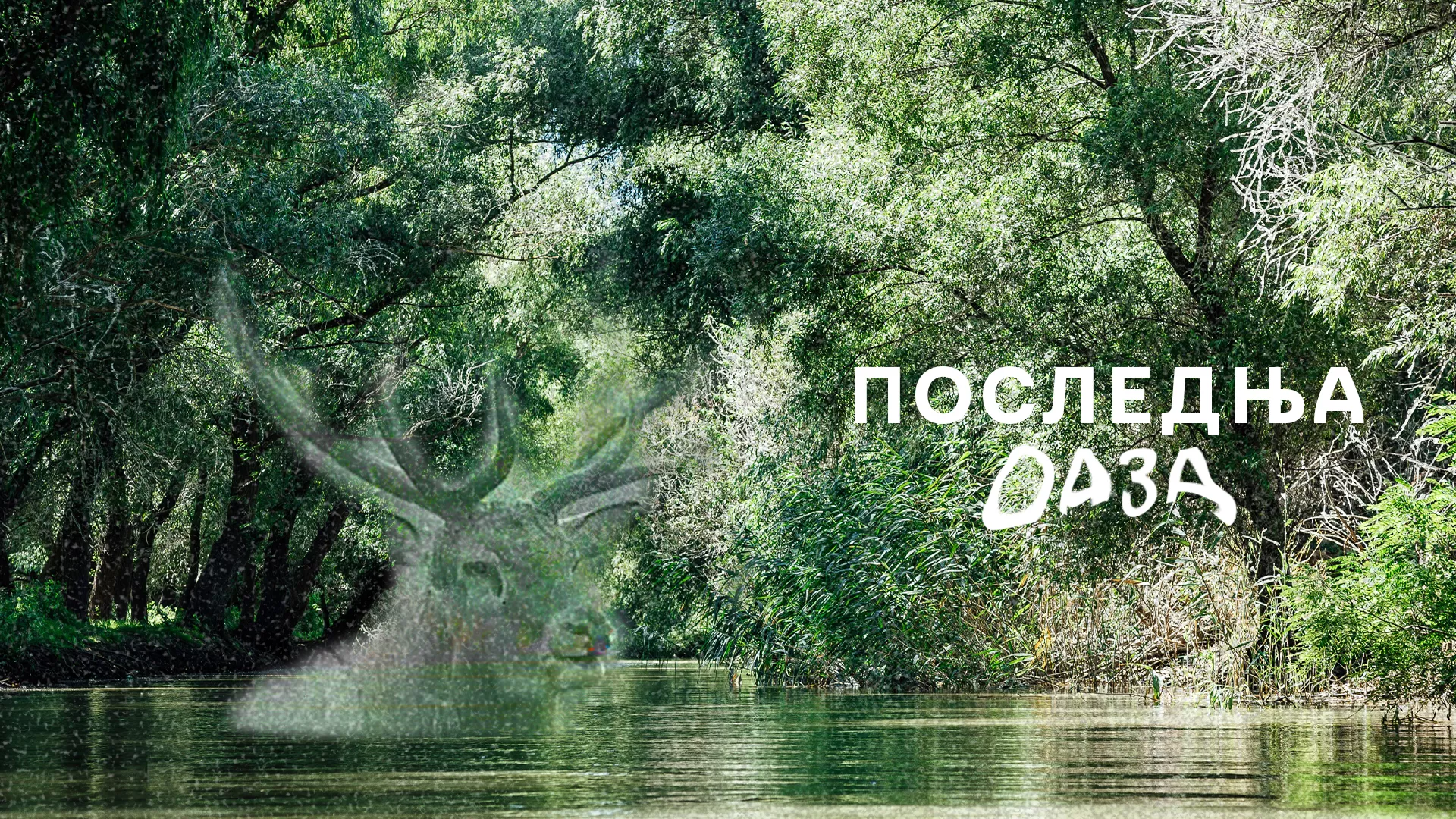 Poslednja oaza (1983)