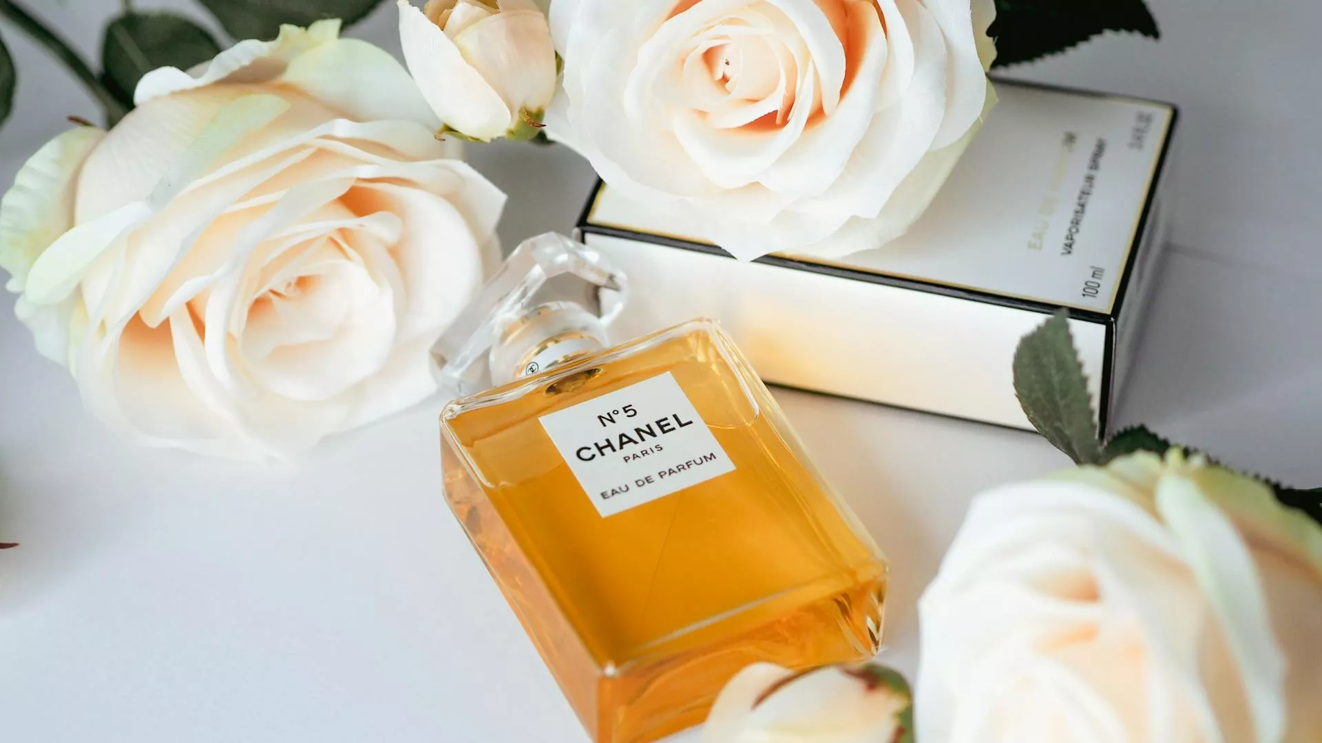 Putevi proze – Karl Šlegel: Miris imperije (2)
