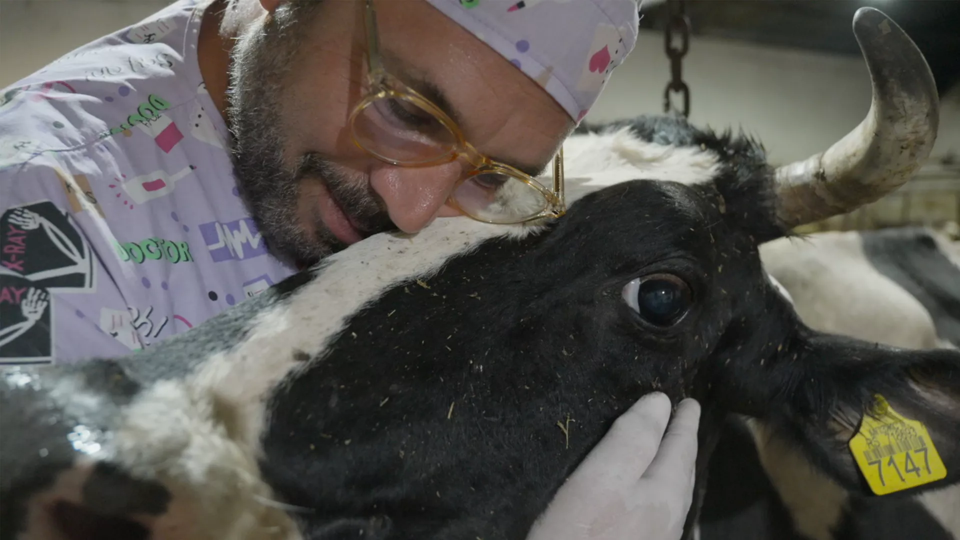 Veterinarska misija: Konjarenje, 9. epizoda (Bojan Ivković)