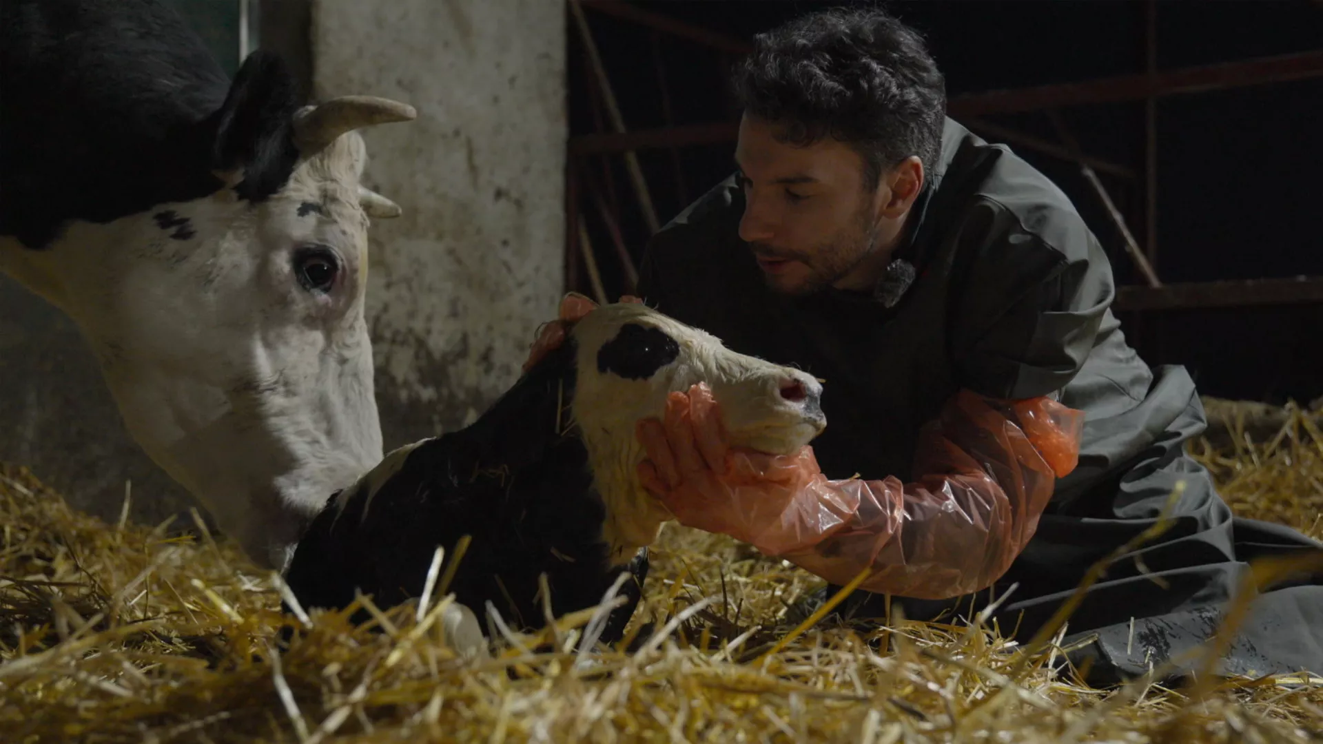 Veterinarska misija: Tajna rađanja, 14. epizoda (Nenad Popović)