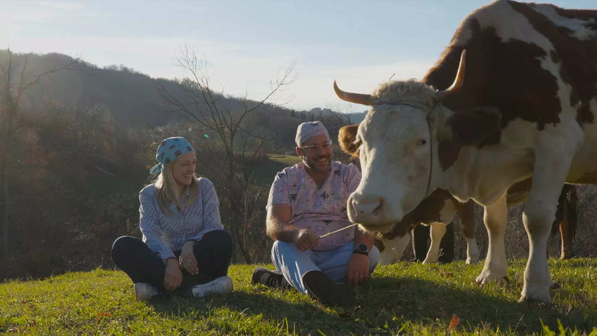 Veterinarska misija