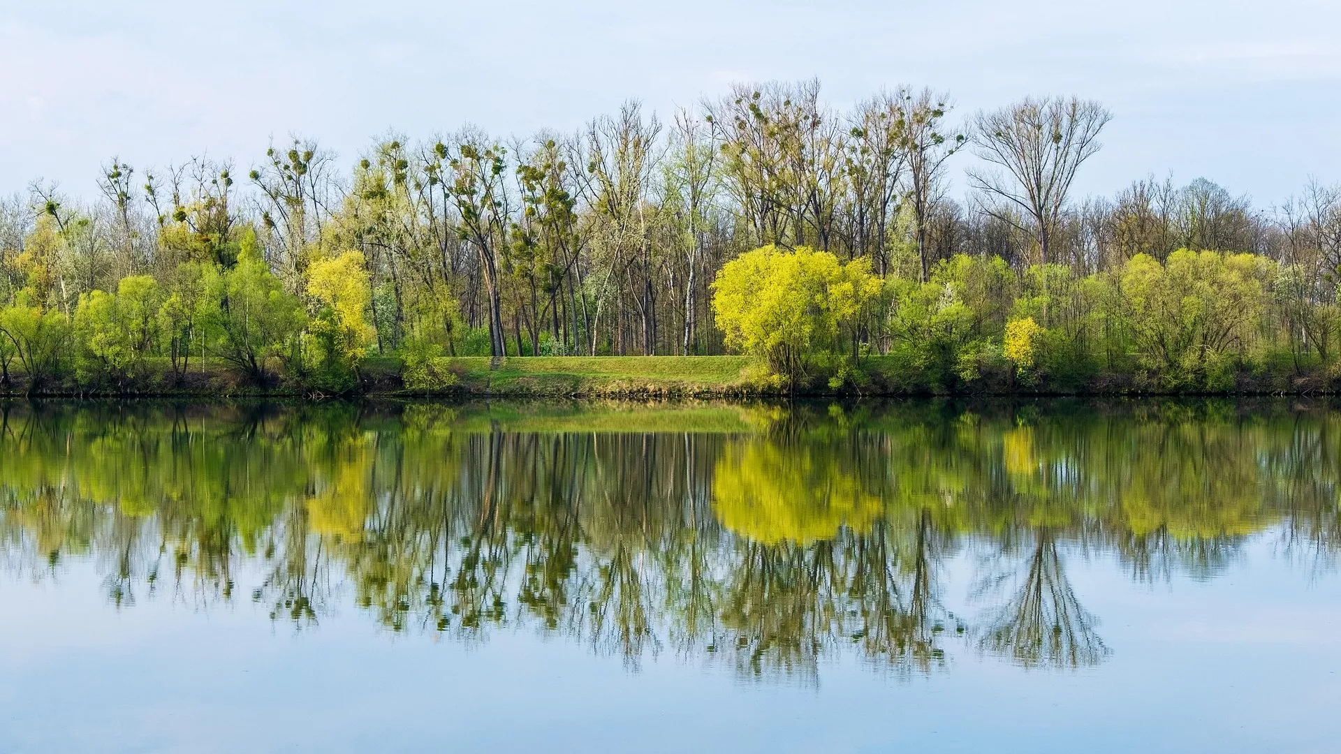 U ritmu dana - hidrosistem Dunav–Tisa–Dunav