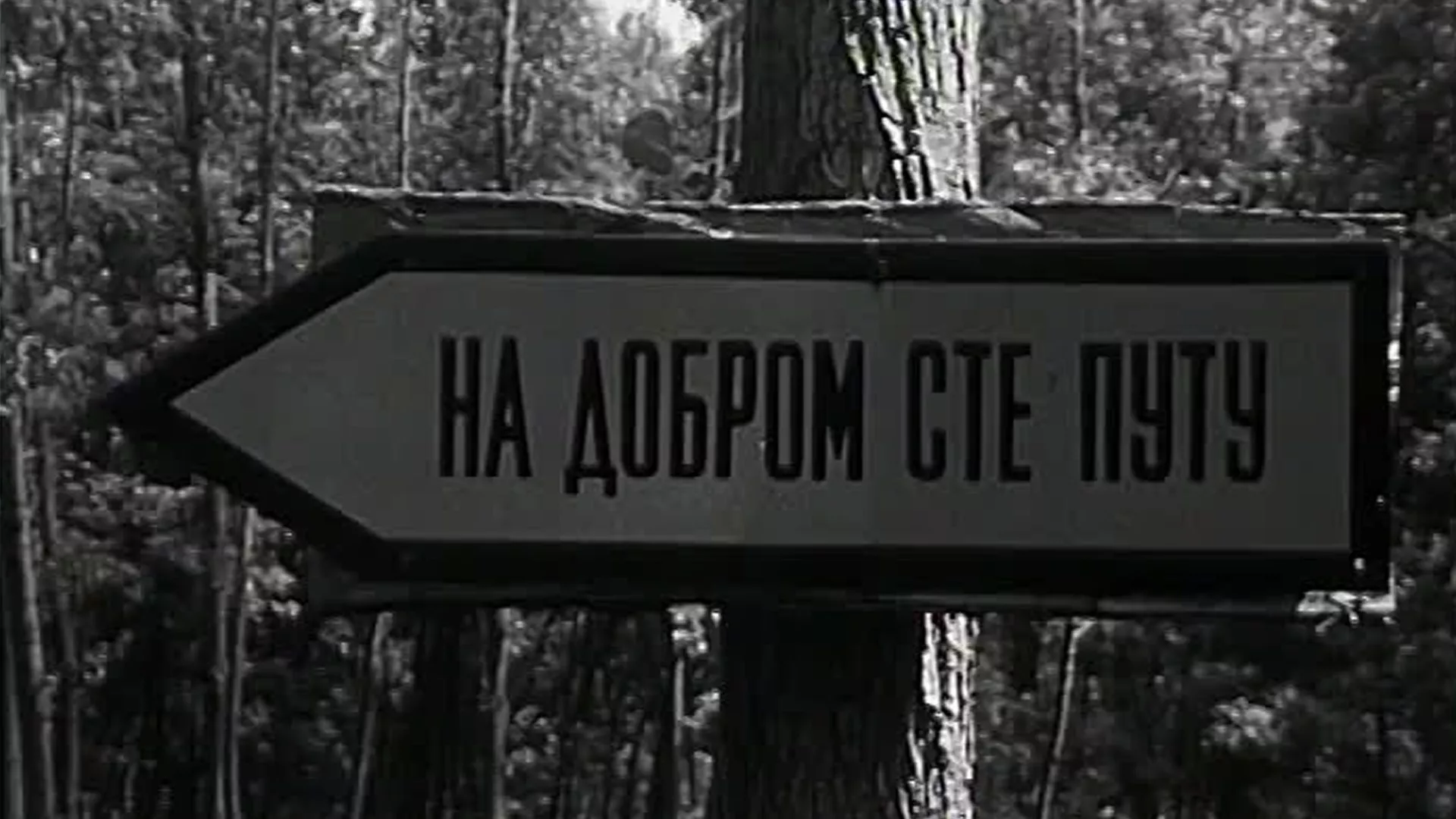 Круг – Физичка немоћ младих