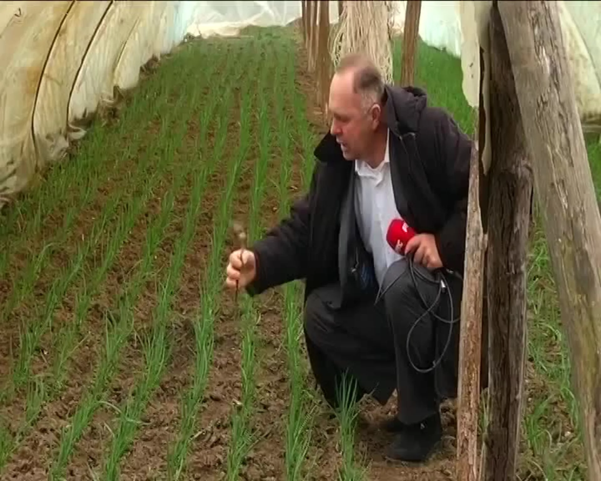 Шампиони пијаца