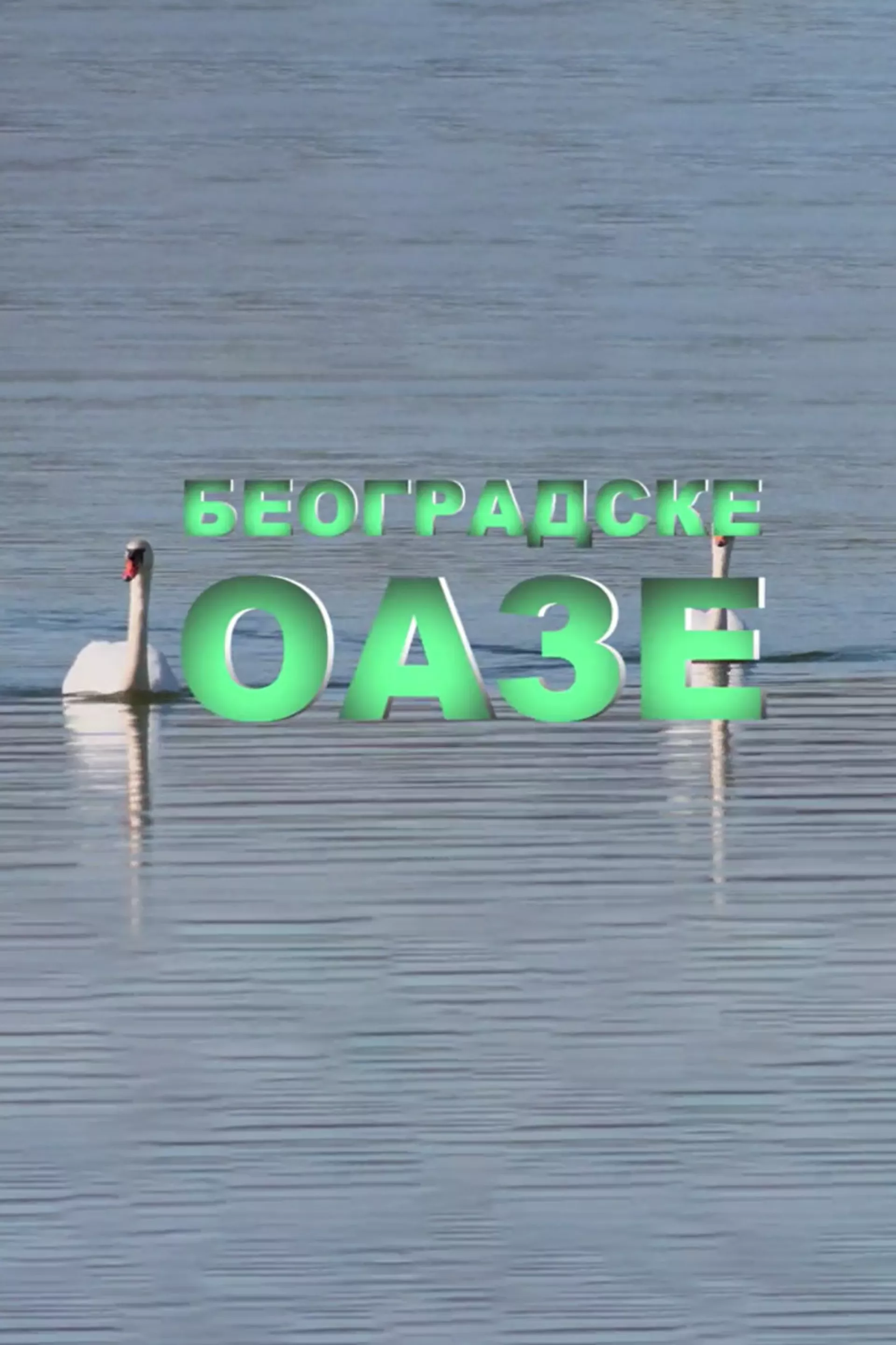Београдске оазе