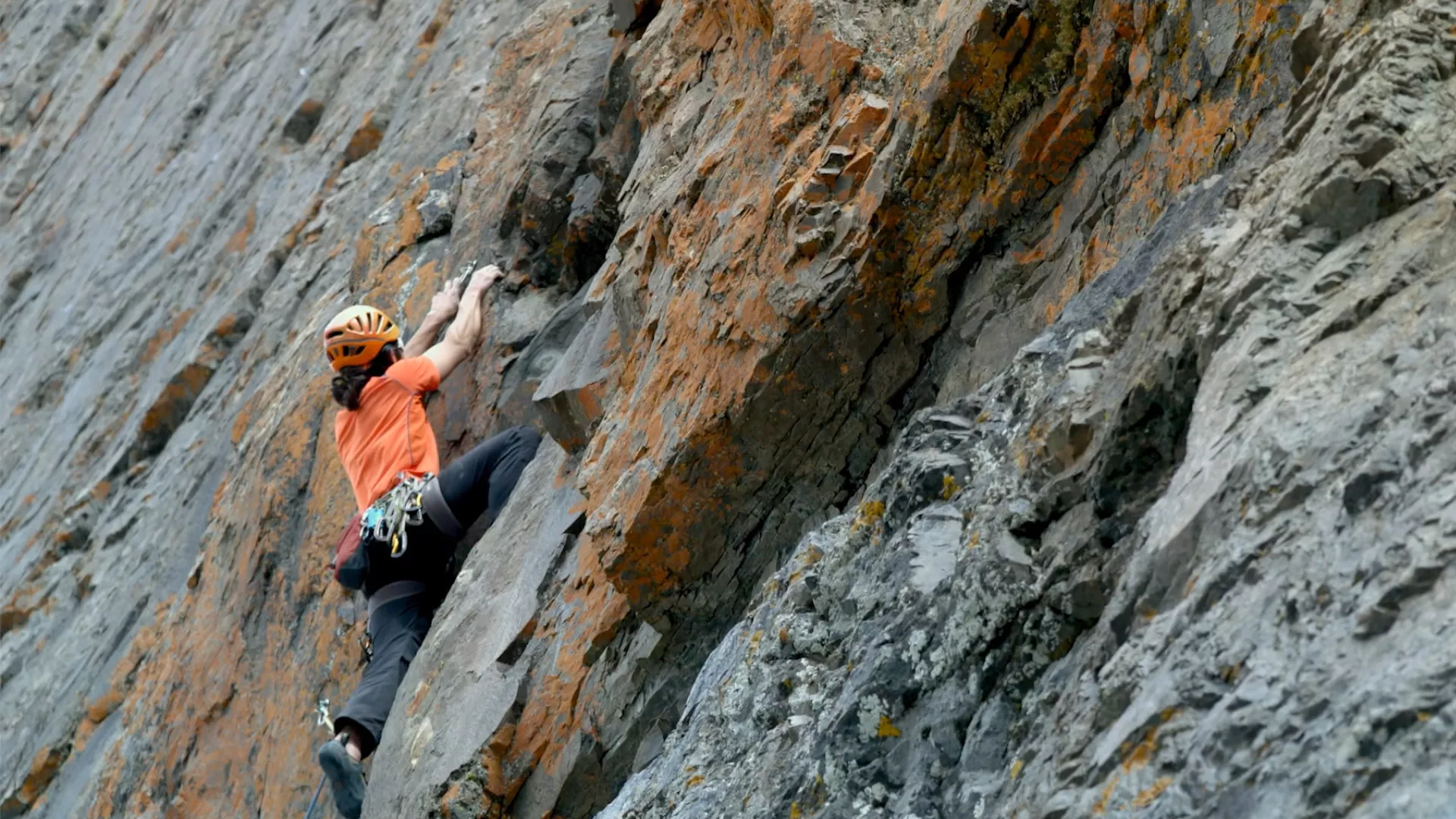 Кордиљери снова (2019)