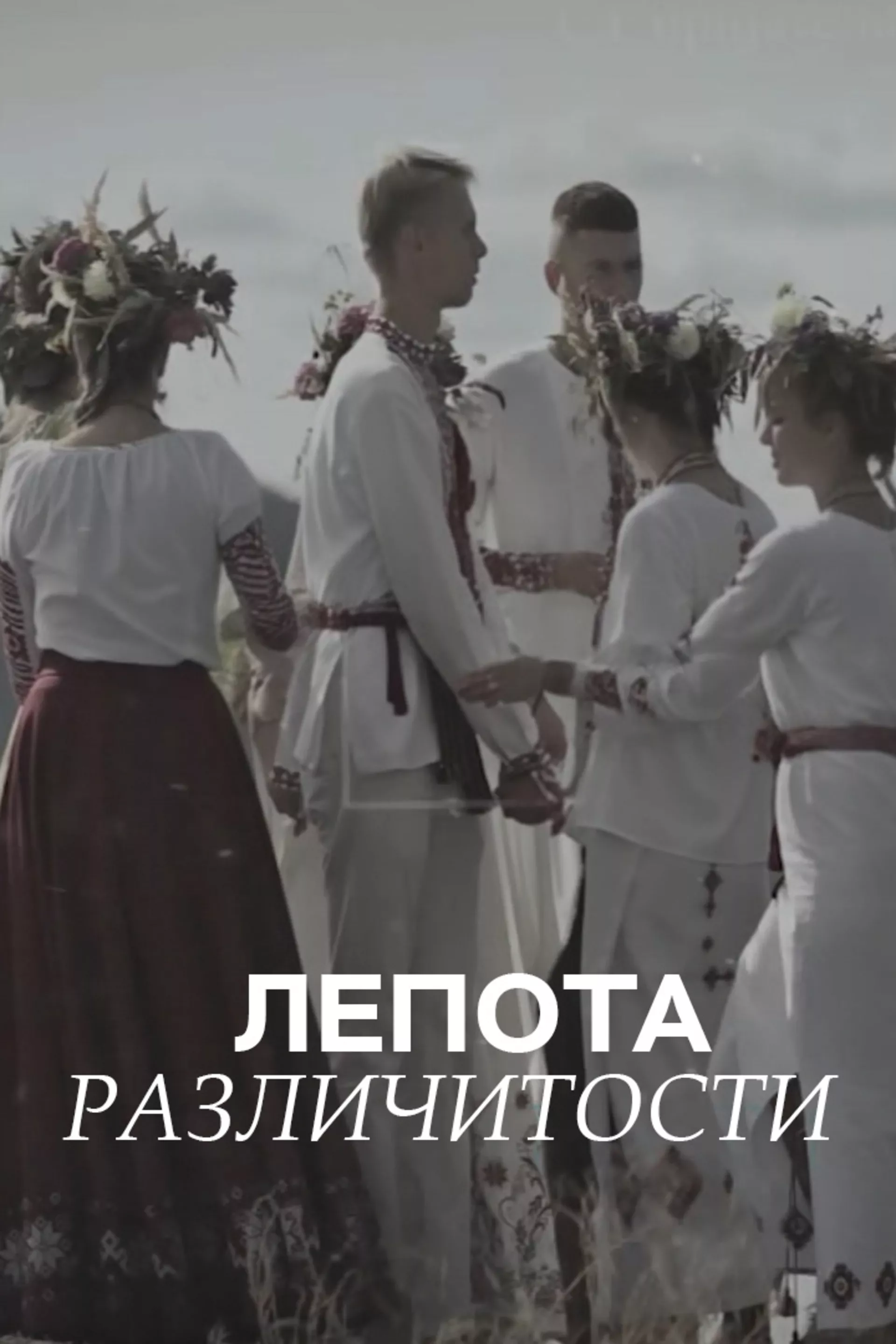 Лепота различитости