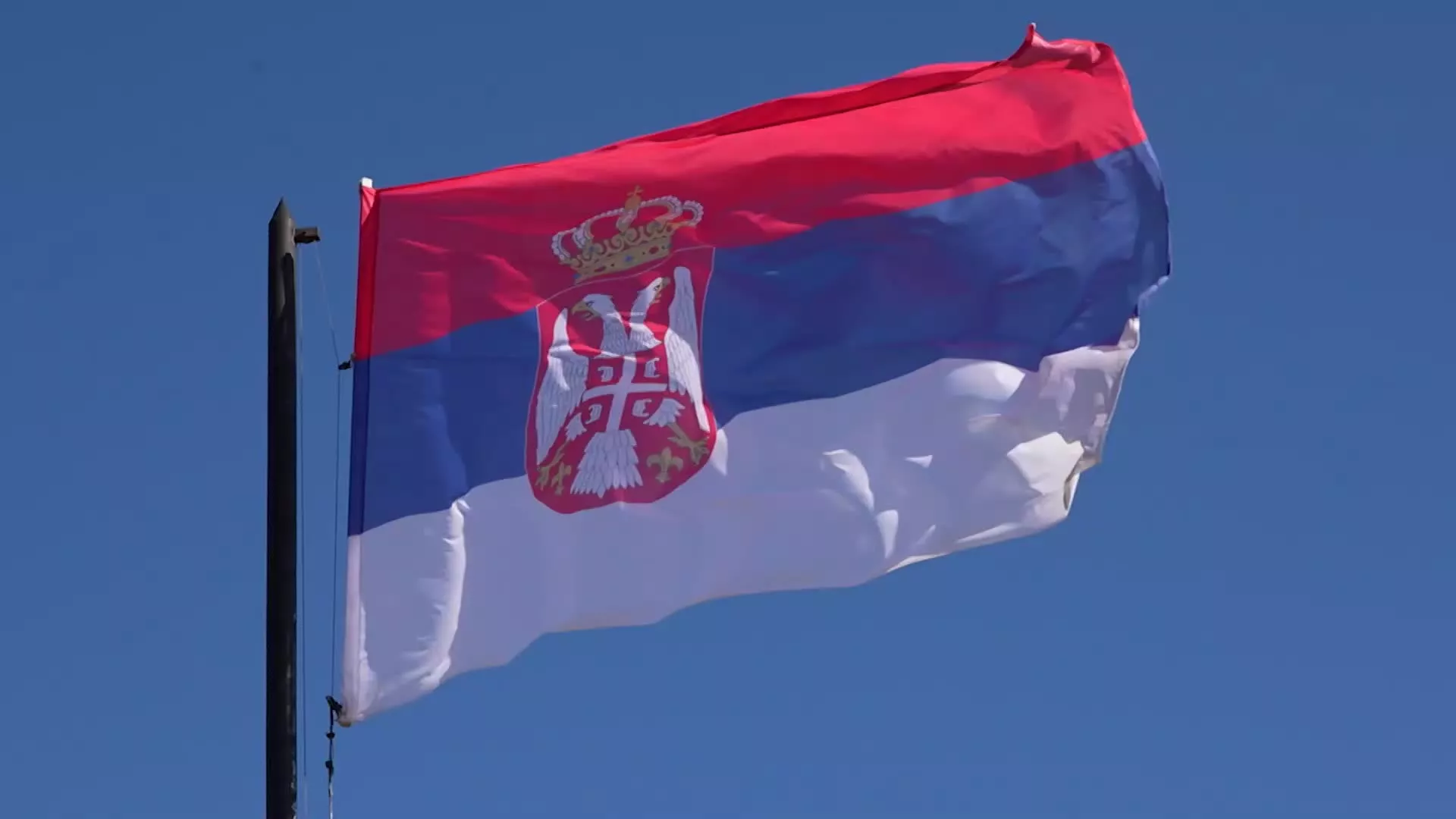Дозволите… Покрети отпора у Београду 1941-1944