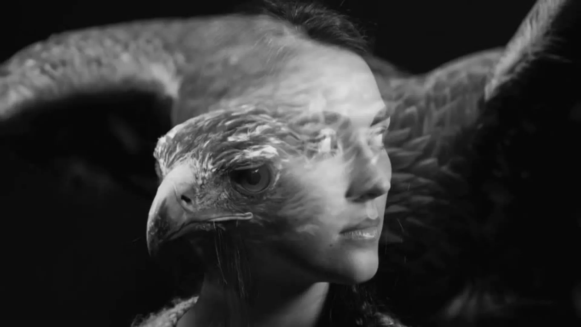 EBU – Аустрија