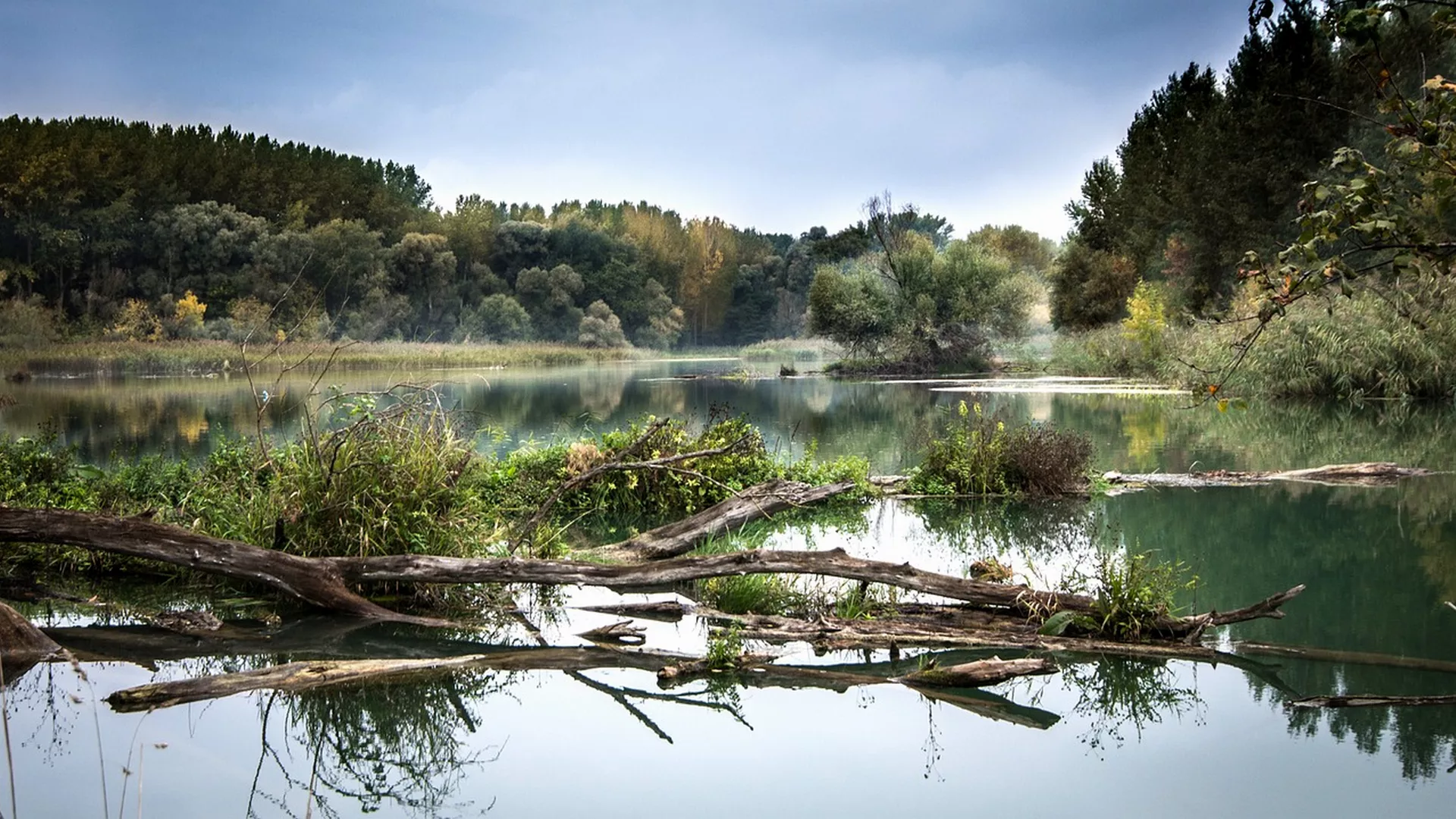 Od zlata jabuka - Dunav u stihovima i narodnim pesmama