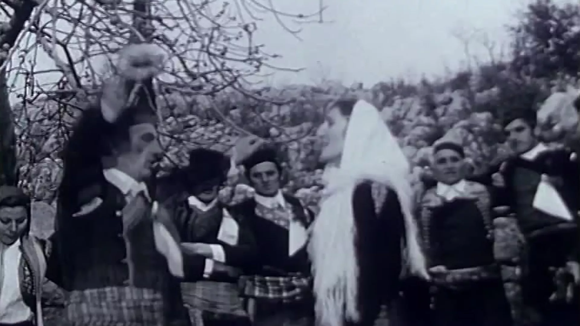 Putem melografa – Svadba u Boki