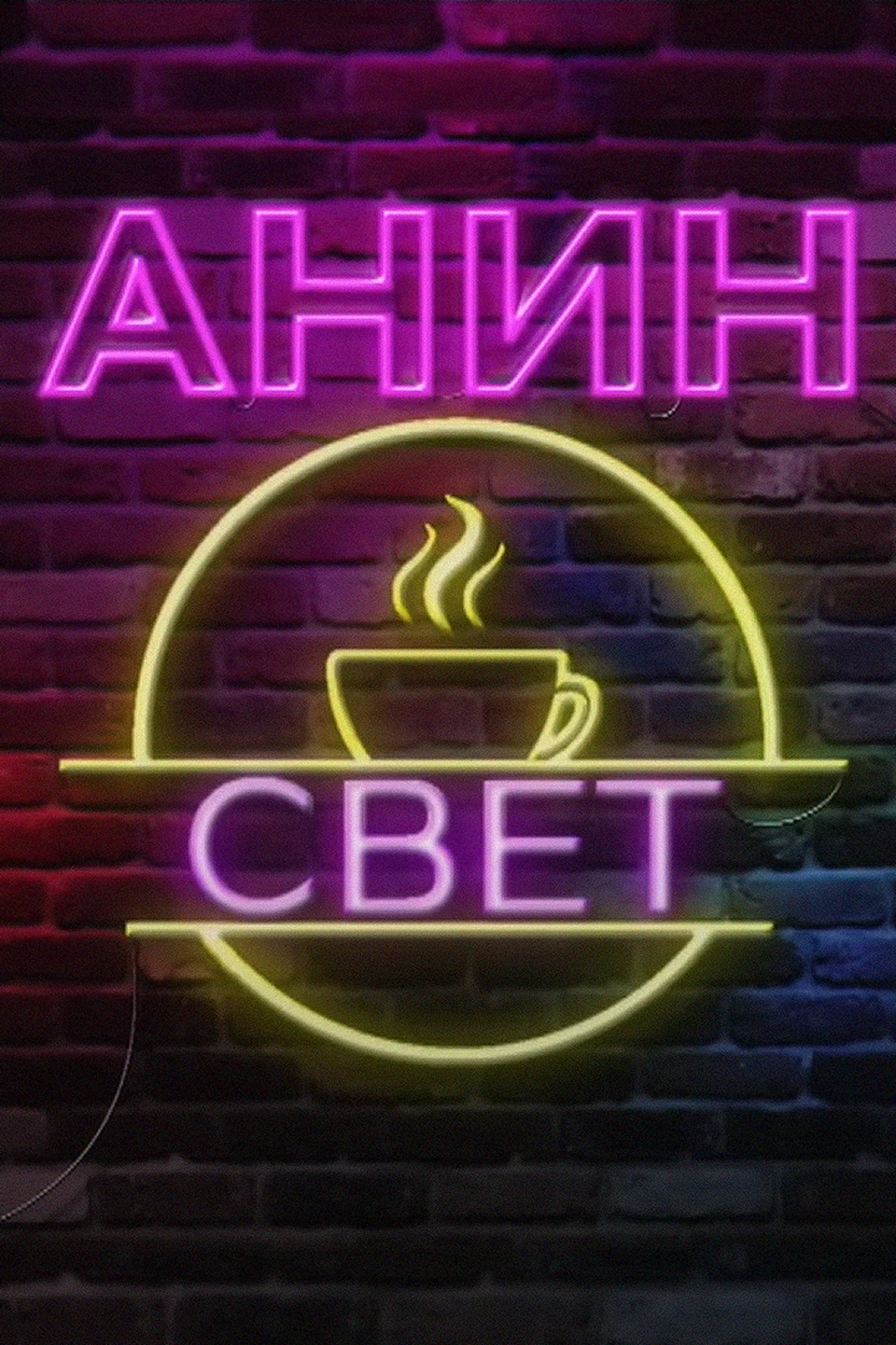 Anin svet