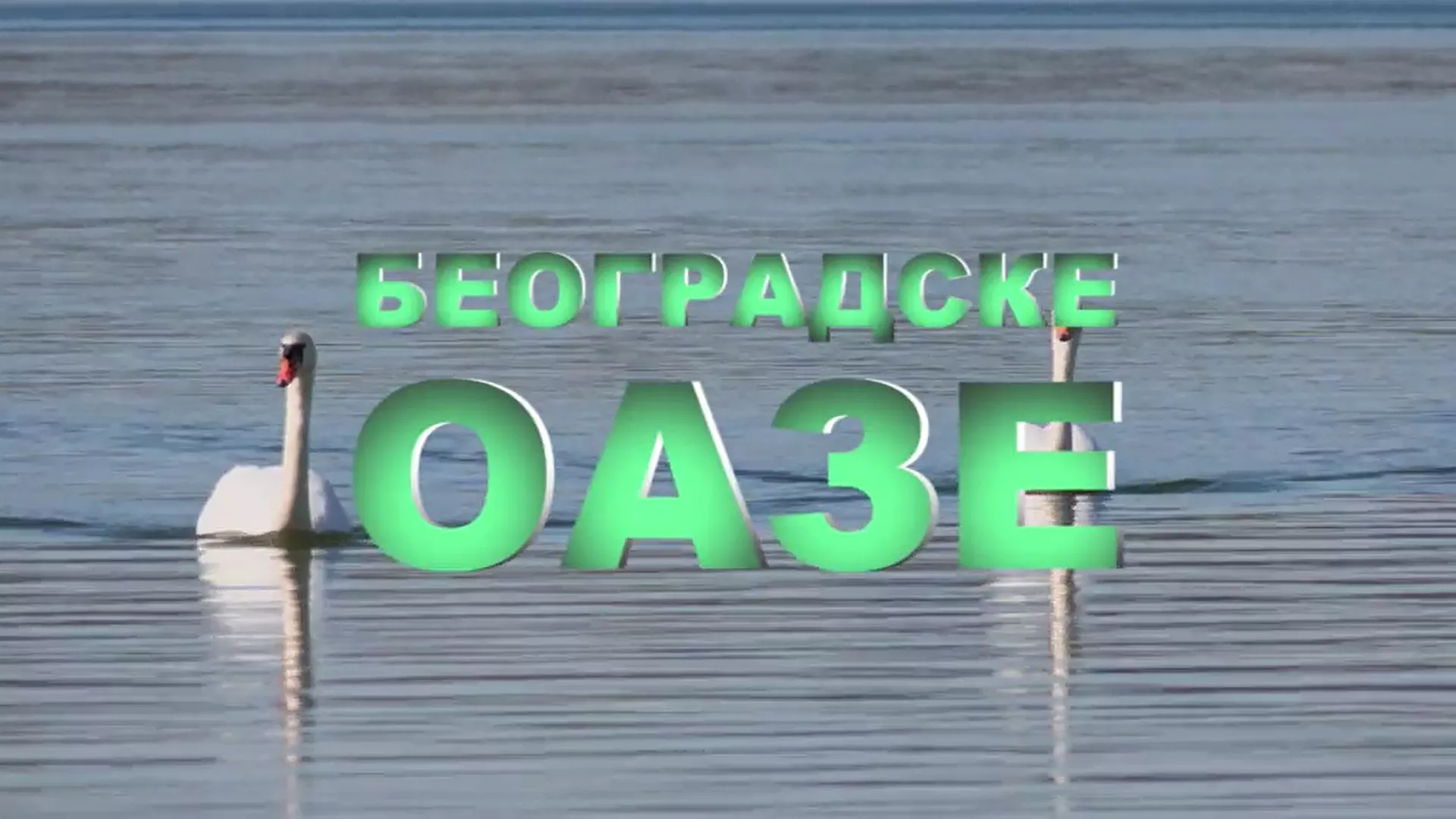 Beogradske oaze