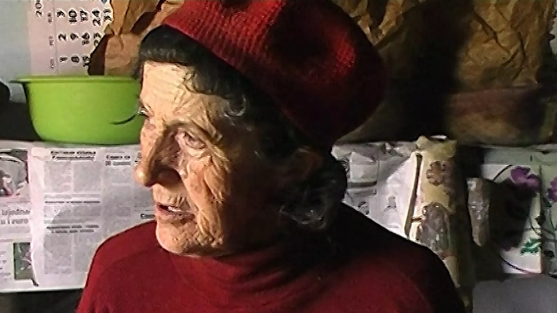 Poslednja virdžina