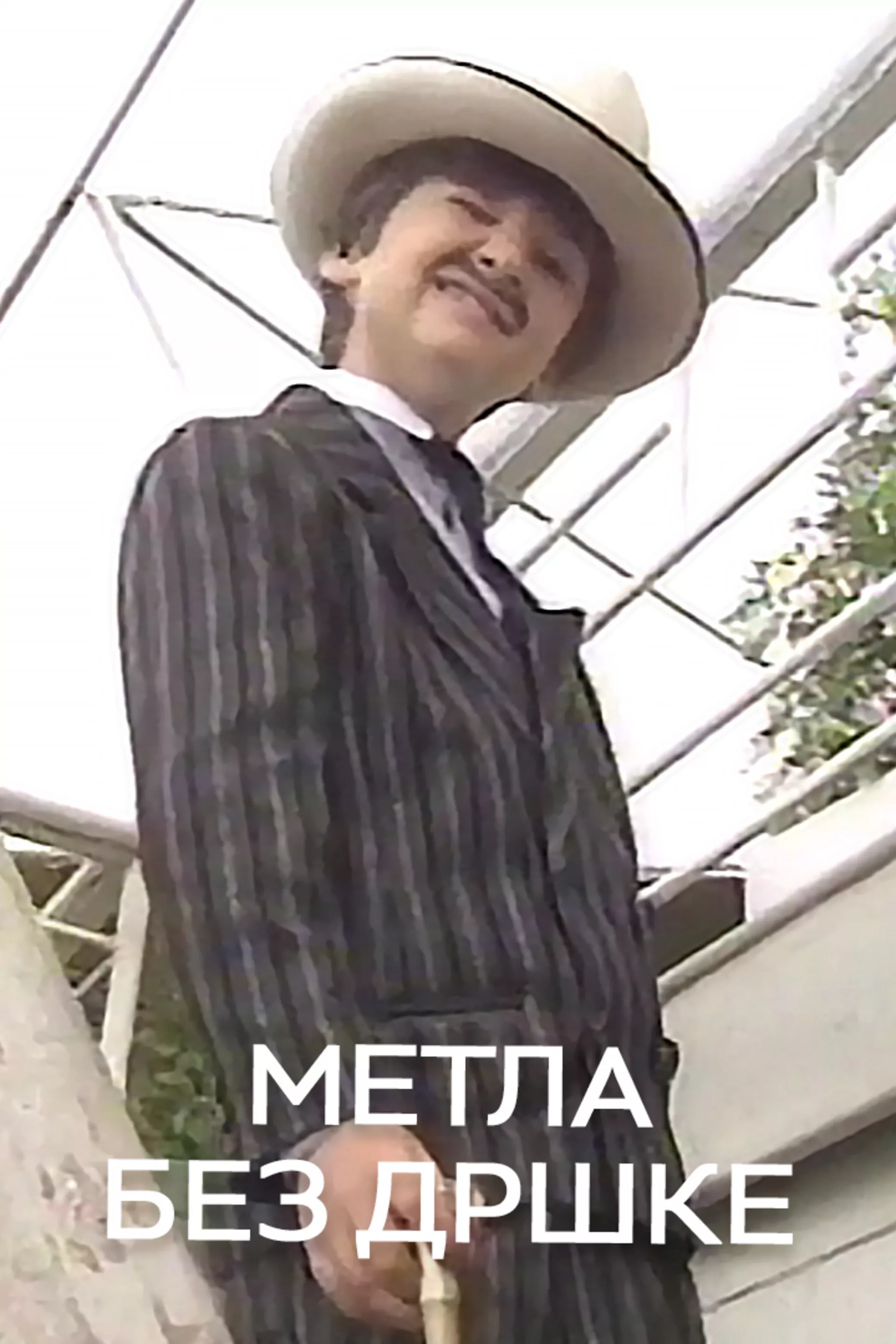 Metla bez drške