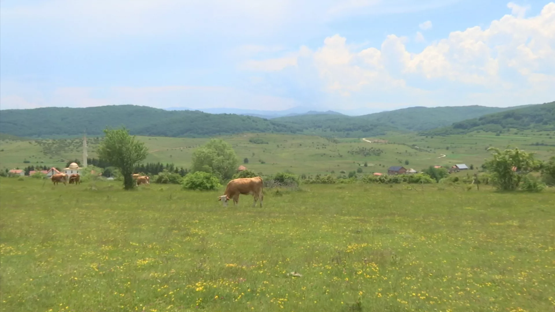 Građanin, 24. jun 2026.