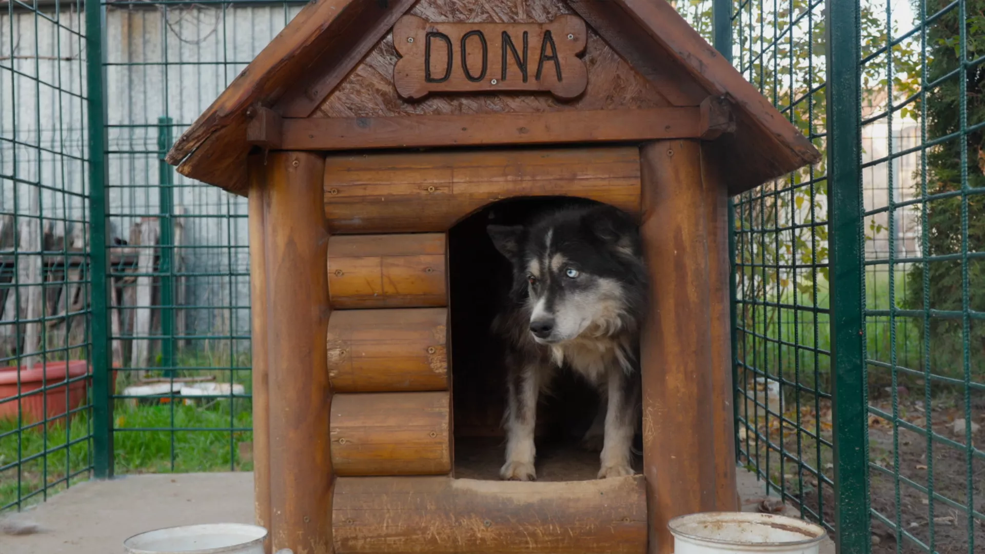 Veterinarska misija: Putevima detinjstva, 5. epizoda (Vanja Milačić)