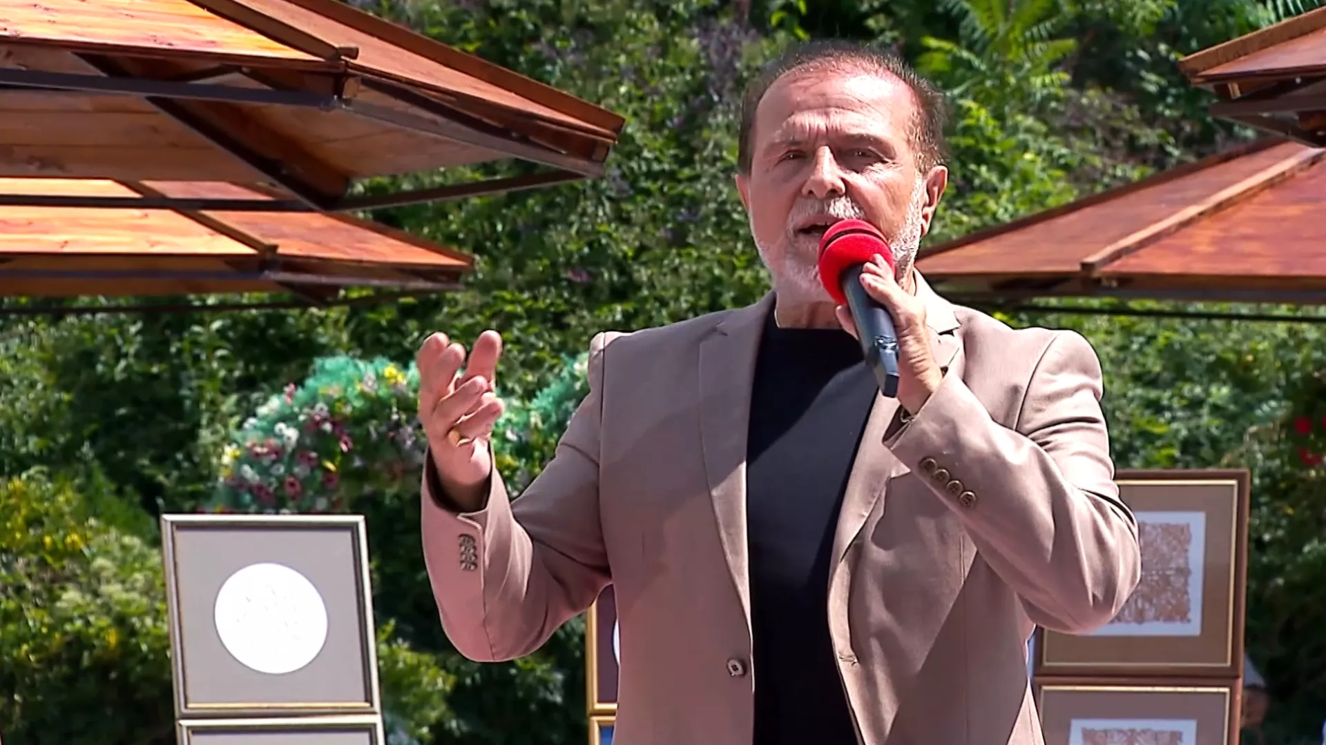 Dragan Pantić Smederevac – Moj živote životiću