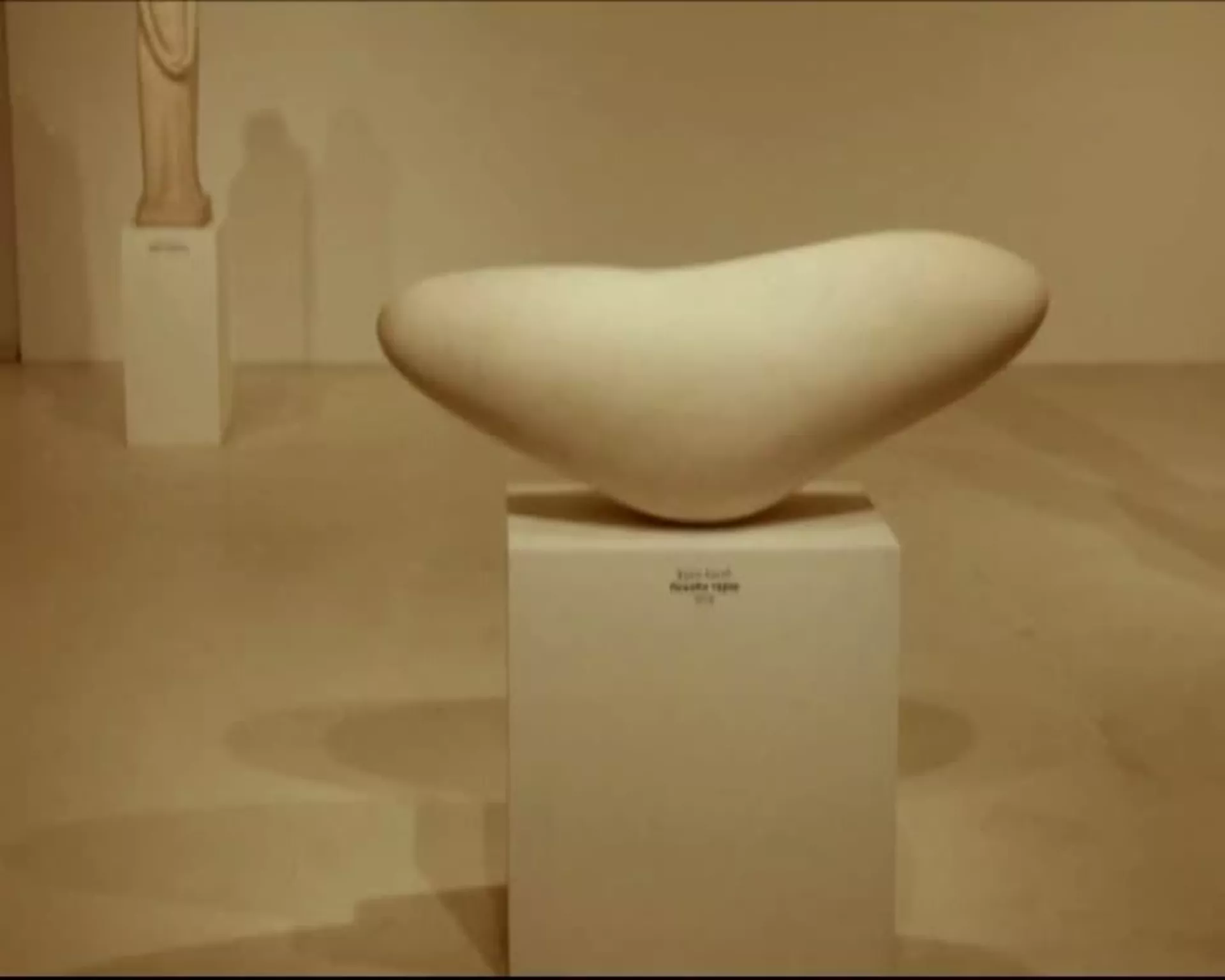 Staro srpsko pisano nasleđe: Zapisi u kamenu